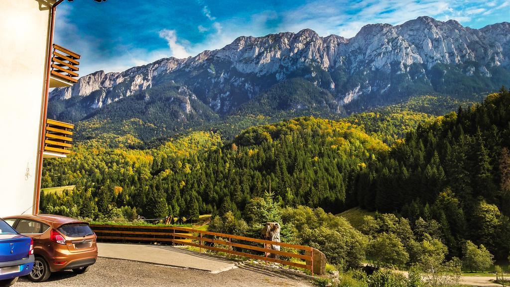 Panorama Pietrei Craiului Hotel Zărneşti Екстериор снимка